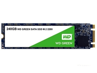 WDS240G2G0B